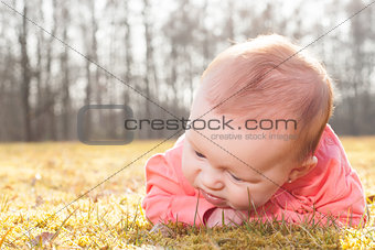 baby searching for blades of grass