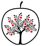 apple tree in apple