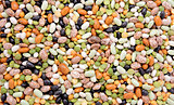 Mixed dried beans abstract background texture
