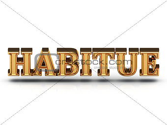 HABITUE - 3d inscription large golden letter 