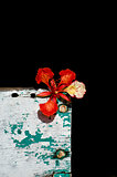 Red flowers on old wooden surface