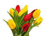 Bouquet of tulips 