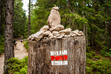 tourist mark on a stump