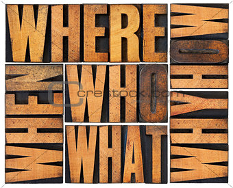 questions abstract in wood type