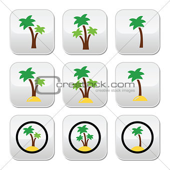Palm trees, exotic holidays on beach vector colorful icons set