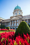 Red flowers in front of Buda Castle, Budapest