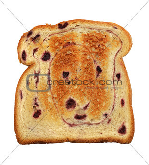 Swirl Bread Toast With Blueberries