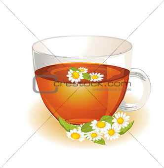 Cup of hot herbal camomile