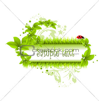 vector illustration of green leafs and grass