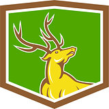 Stag Deer Looking Up Shield Cartoon