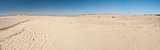Arid desert landscape