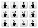 Flower, plant in pot vector icons set