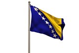 National bosnia and herzegovina flag
