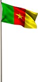 Digitally generated cameroon national flag