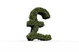 Pound sterling sign made of leaves