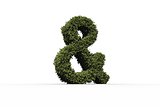 Ampersand sign made of leaves