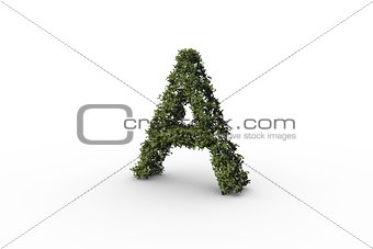 Capital letter a made of leaves