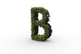 Capital letter b made of leaves