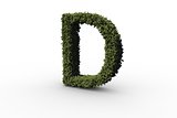 Capital letter d made of leaves