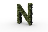Capital letter n made of leaves