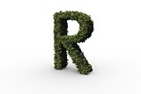 Capital letter r made of leaves