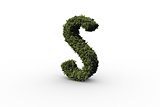 Capital letter s made of leaves