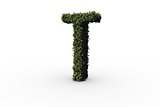 Capital letter t made of leaves