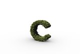 Lower case letter c made of leaves