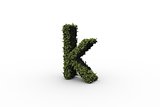 Lower case letter k made of leaves