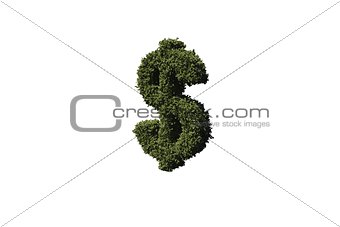 Dollar sign made of leaves