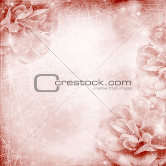 Beautiful pink rose on bokeh background 