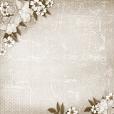 Vintage background with lace and flower composition 