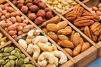 nuts and seed collection