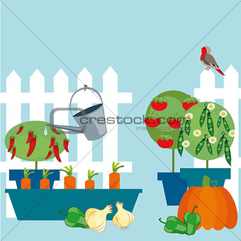 garden of vegetables