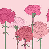 carnations pattern