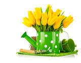 Spring flowers in watering can with garden tools