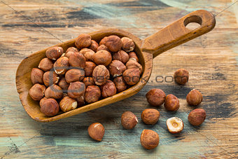 scoop of hazelnuts