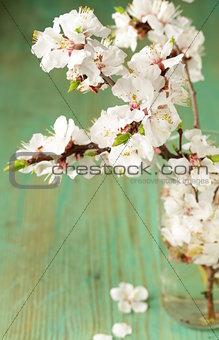 Spring blossom (oriental cherry, apple tree) on wooden table