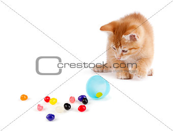 Cute Orange Kitten spilling jelly beans out of a plastic Easter 