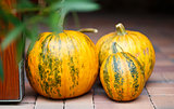 Seasonal Pumpkins