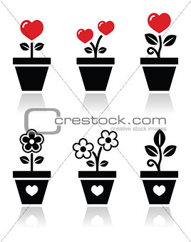 Heart in flower pot vector icons set