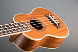 Close-up shot of classic ukulele guitar 