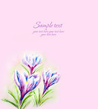 Painted watercolor card with crocus flowers