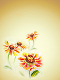 Painted watercolor card with helenium flowers