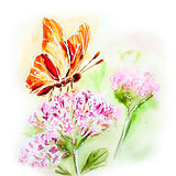 Painted watercolor card with summer flowers and butterfly