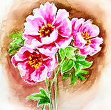 Painted watercolor card with peony flowers