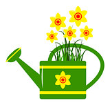 watering can and daffodils