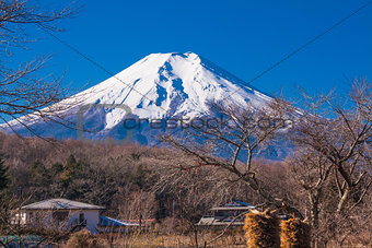 Fuji mountain in morning time