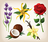 A collection of colorful vector flowers
