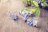 forget me not flowers on old wood table